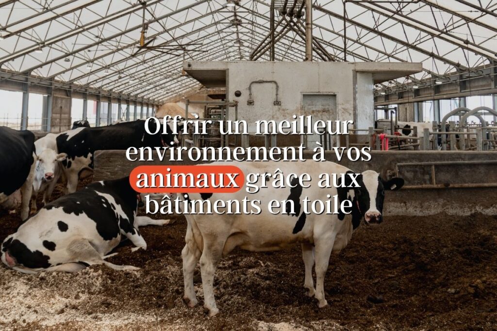 bâtiment en toile pour confort animal